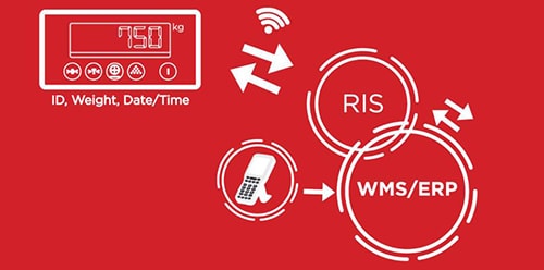 Pozvezljivost in mobilnost, RIS,